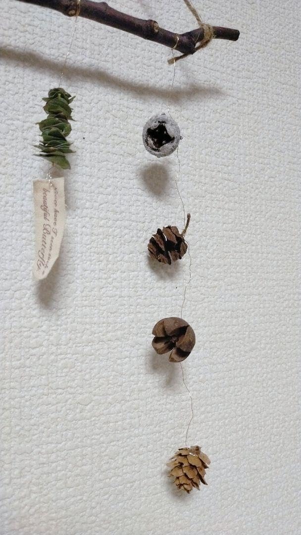 Amazon.co.jp: 木の実ガーランド モビール ユーカリミルフィーユ